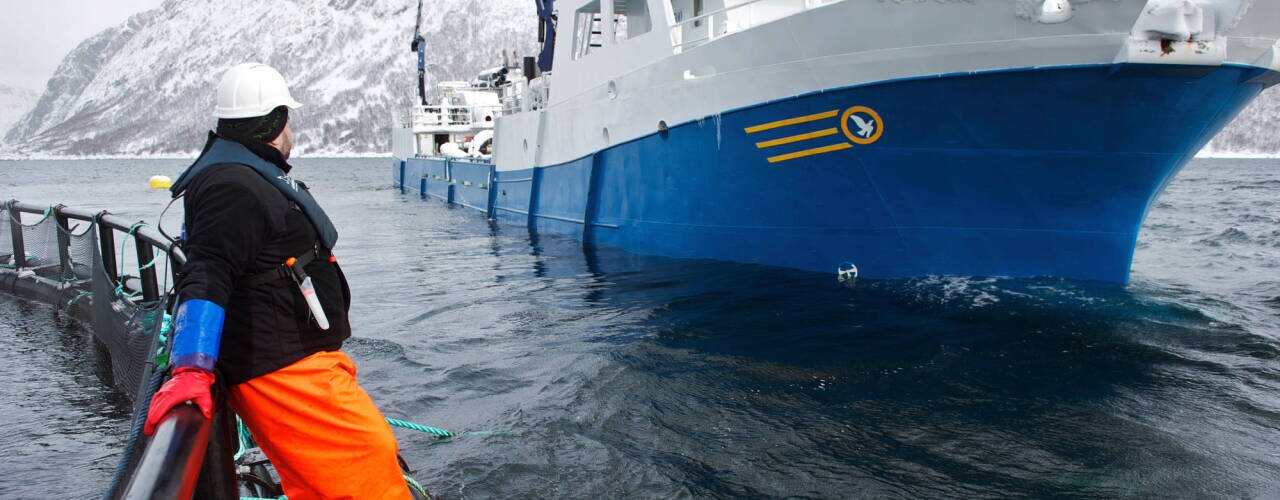 En foringsbåt ligger ved oppdrettsanlegget. Størsteparten av CO2 utslippet knyttet til produksjon av oppdrettslakser relatert til verdikjeden til fôrproduksjonen. En foringsbåt ligger ved oppdrettsanlegget. Størsteparten av CO2 utslippet knyttet til produksjon av oppdrettslakser relatert til verdikjeden til fôrproduksjonen.