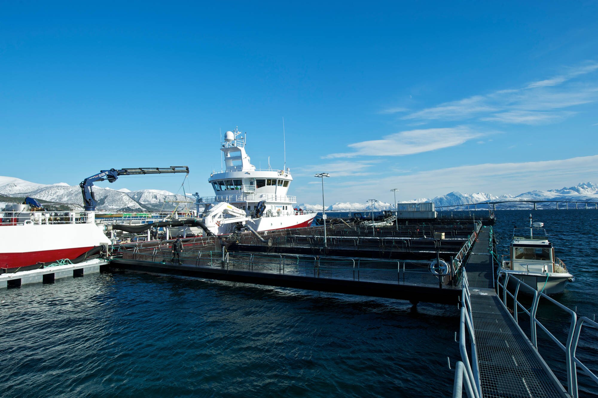 Norskekysten er kjennetegnet, som her på bildet, av mange og dype fjorder, og en nordgående havstrøm som bidrar til stor vannutskifting. Ifølge myndighetene utgjør utslipp fra havbruk kun 2% av naturlig omsetning av næringssalter i havstrømmen.